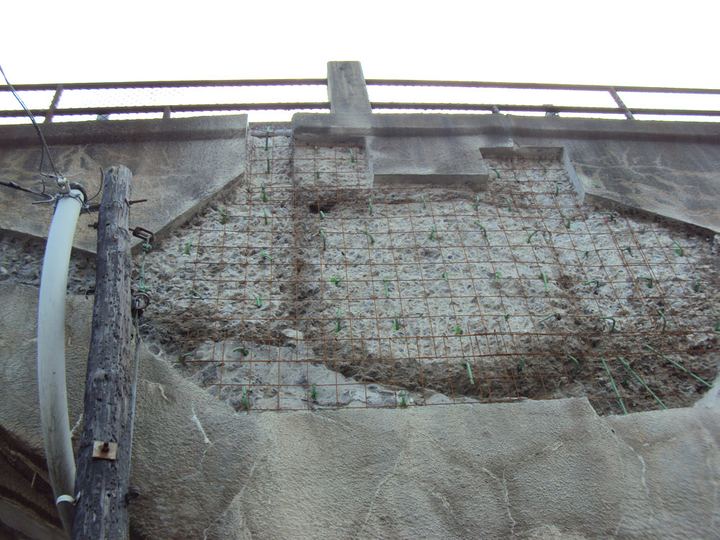 Concrete Repairs: Sparwick project photo
